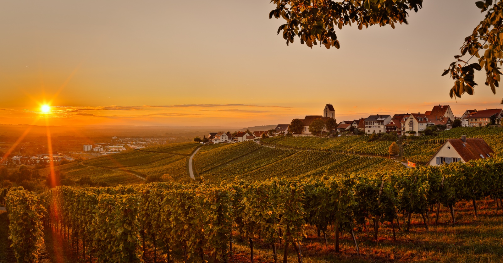 Platz 12 Anton Kienle